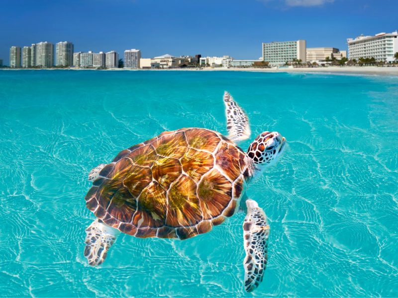 Messico-Riviera Maya