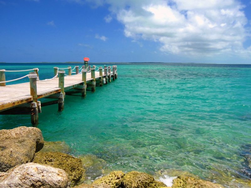 NEW YORK, CASCATE E BAHAMAS