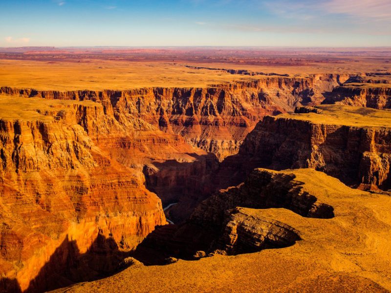 HONEY MOON IN AMERICA