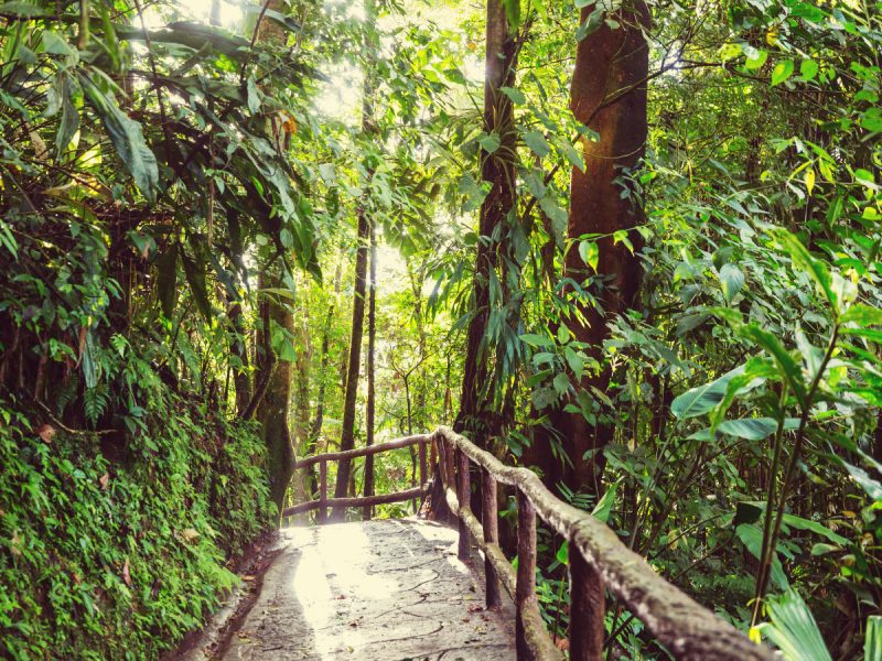 COSTA RICA AL RITMO DI ‘’PURA VIDA’’