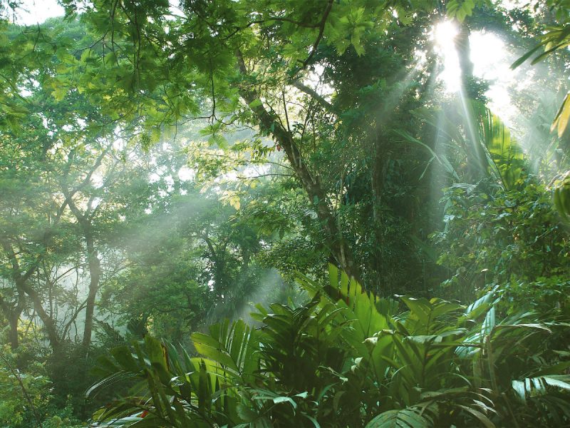 COSTA RICA AL RITMO DI ‘’PURA VIDA’’