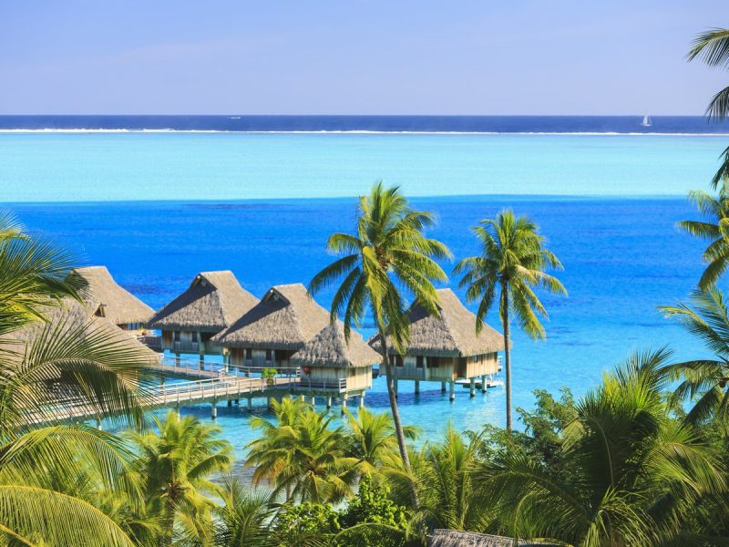 GIAPPONE E POLINESIA