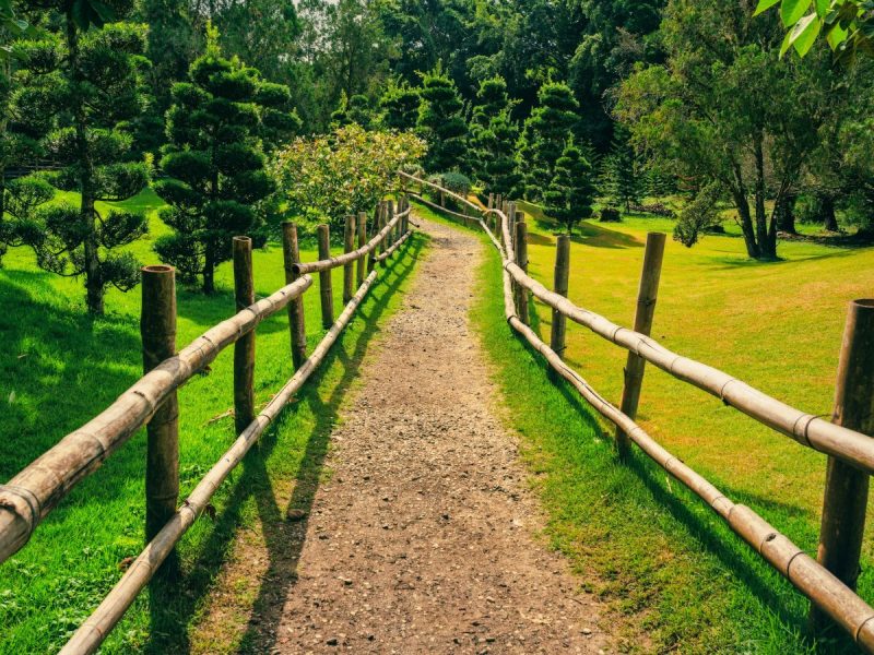 NEW YORK E SANTO DOMINGO