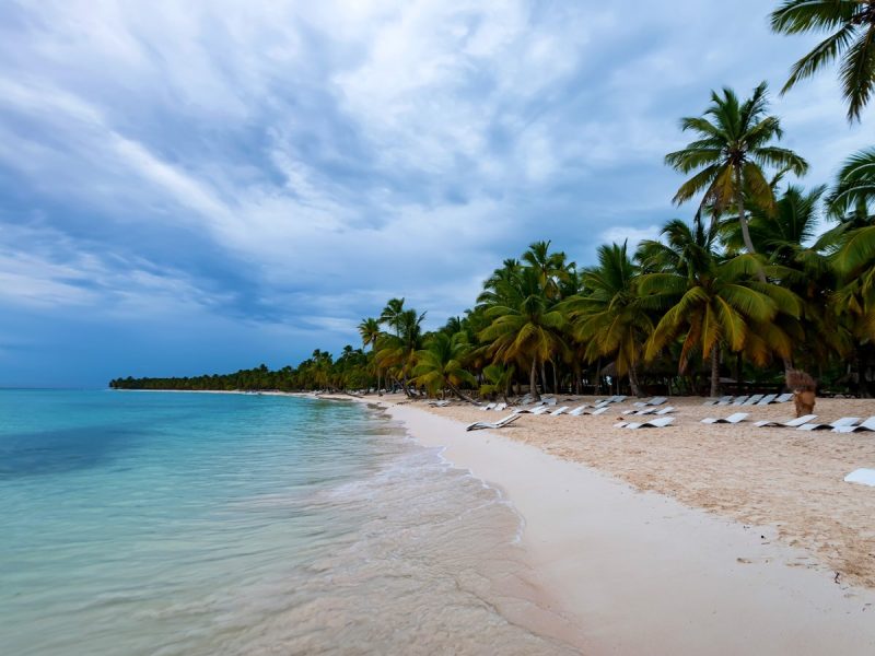 NEW YORK E SANTO DOMINGO