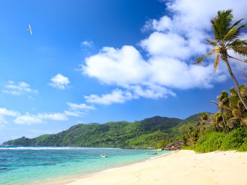 SUDAFRICA E SEYCHELLES