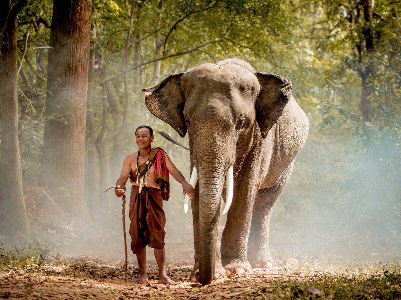 LA MERAVIGLIOSA THAILANDIA